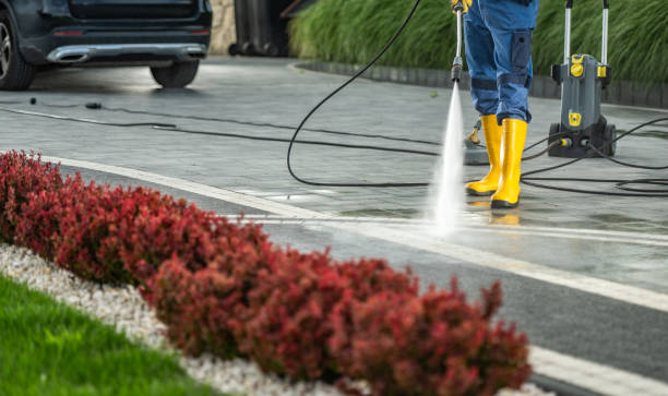 Best Driveway Pressure Washing  in Kingsley, MI